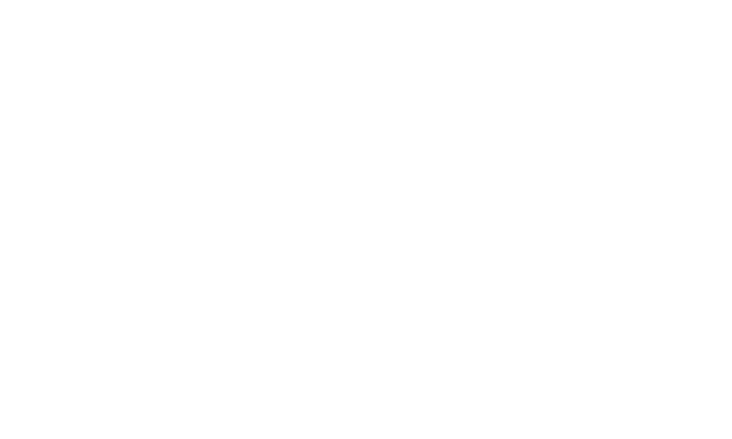 Strauss Immobilienkonzepte Logo